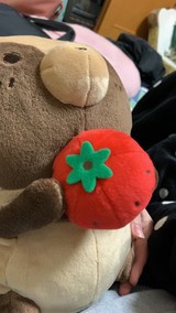 でんきりさんプロフィール画像