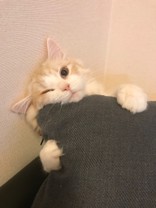 :::みまる:::