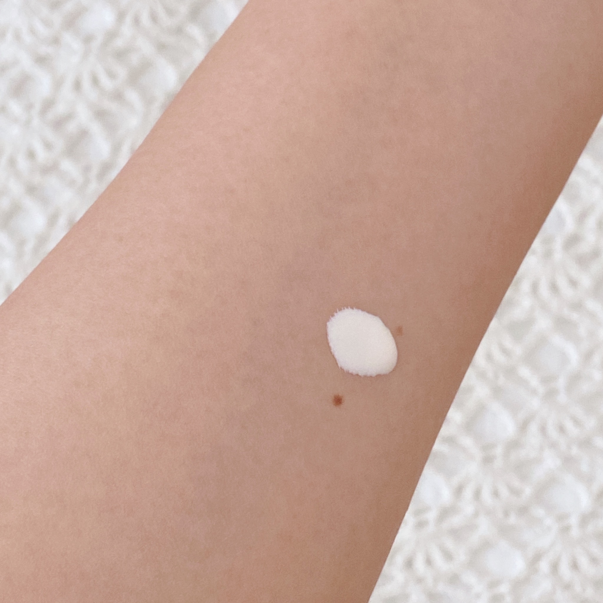 明色化粧品 / モイストラボフローラ スキンコントロール 皮脂くずれ ...