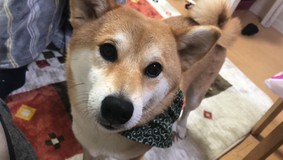 みどり☆.°^^さんプロフィール画像