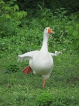 T山さん