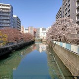 Amaiさんプロフィール画像