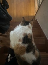 rn____xxさんプロフィール画像