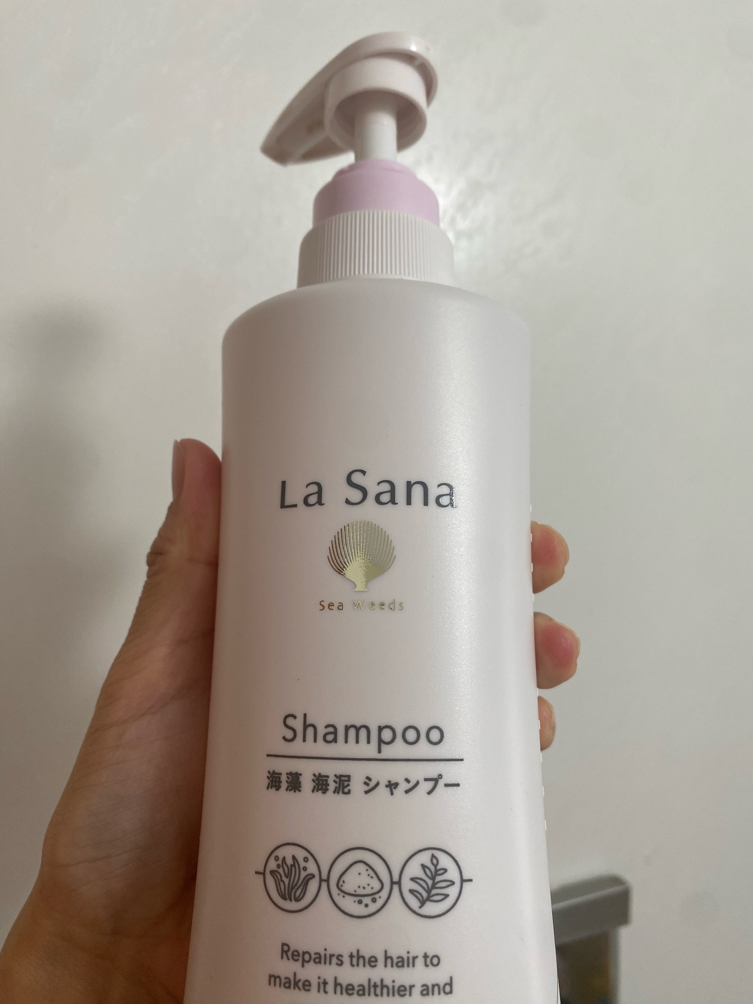 La Sana(ラサーナ) / 海藻 海泥 シャンプー／トリートメントの