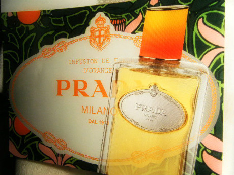 プラダ インフュージョン フルールオレンジ 香水 200ml Celes (セレス) | Prada - Infusion Fleur d'Oranger (プラダ