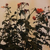 yy7y1yyさんプロフィール画像
