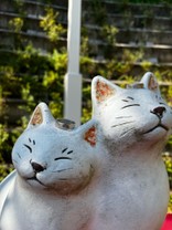 *はるけん*