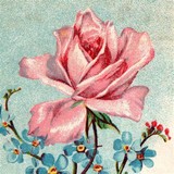 志桜里だよーんさんプロフィール画像