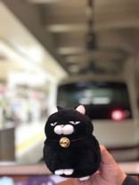 アメリカンマミー