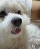 るみこちゃん
