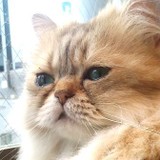 ＋笹世＋さんプロフィール画像