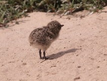 般若湯さんプロフィール画像