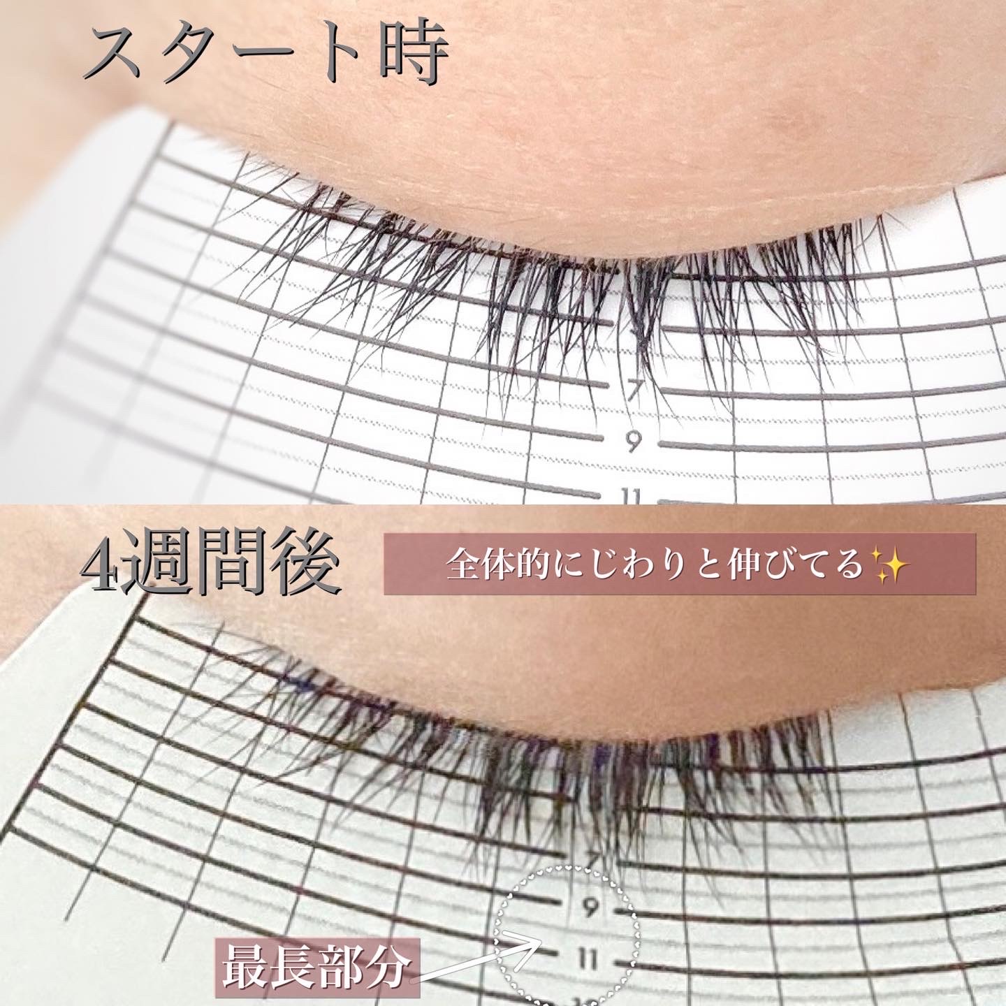 コスノリ / EYELASH SERUM 100 EXの公式商品情報｜美容・化粧品情報は