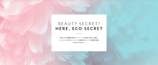 海外ですごく有名な 韓国化粧品ブランド Ecosecret が日本に上陸 すんあちゃん さんのブログ Cosme アットコスメ