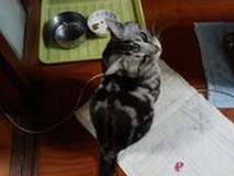まこ。ひろ。さんプロフィール画像