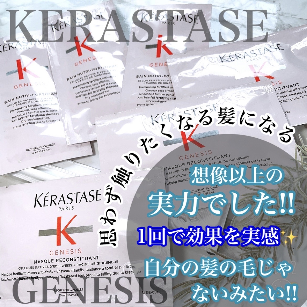 ケラスターゼ / GN バン ニュートリ フォーティファイの公式商品