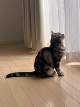 hanagamさんプロフィール画像