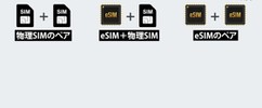 デュアルSIM、格安SIM
