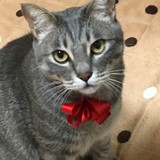 y.o☆さんプロフィール画像