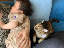 ほのちゃんぽんさんプロフィール画像