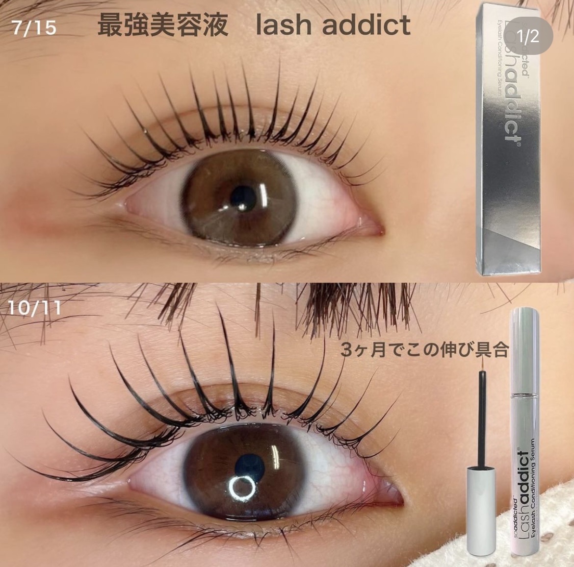 人気ブランド多数対象 Lash Addict ラッシュアディクト agapeeurope.org