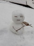 雪んこちゃん☆さん