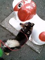ラン＆リン