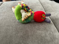 こあんこらー