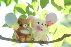 しぶあん