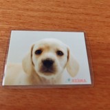 ★由希ちゃん★さんプロフィール画像