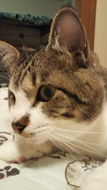 ゴローママ★