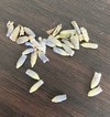 これはカビでしょうか？　写メあり