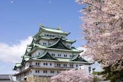 愛知のあみさんプロフィール画像