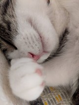 ■□居眠ぱんだ□■さんプロフィール画像