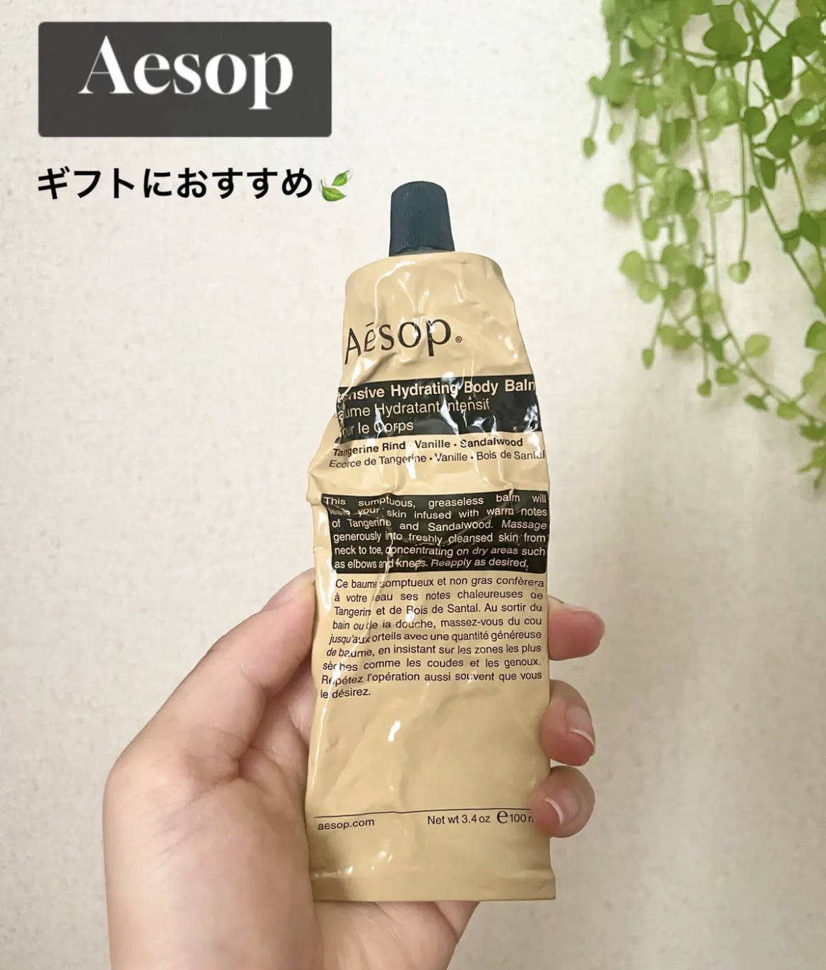 Aesop イソップ インテンシブ ハイドレーティング ボディバーム