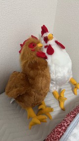 おりおりかさんプロフィール画像