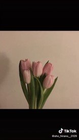 りいすいす