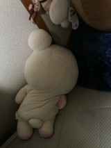 ぺんしゅけさんプロフィール画像