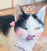 ☆MEME☆