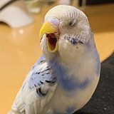 ku0226さんプロフィール画像