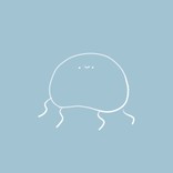 ○うにたろう○
