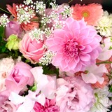 wjpmumjさんプロフィール画像