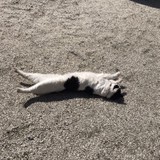 柚羽蒔さんプロフィール画像