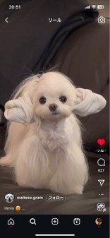 からちゃん！、