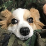 とも96★さんプロフィール画像