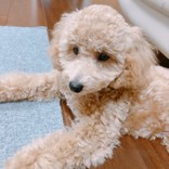 まいまいちゃむ☆彡