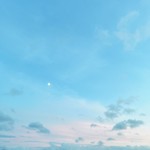ほうぼうさん