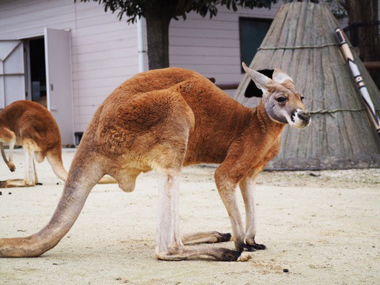 1 5 金 有給休暇 夫婦デート 東武動物公園へ Rancidさんのブログ Cosme アットコスメ