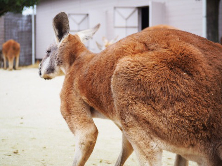 1 5 金 有給休暇 夫婦デート 東武動物公園へ Rancidさんのブログ Cosme アットコスメ