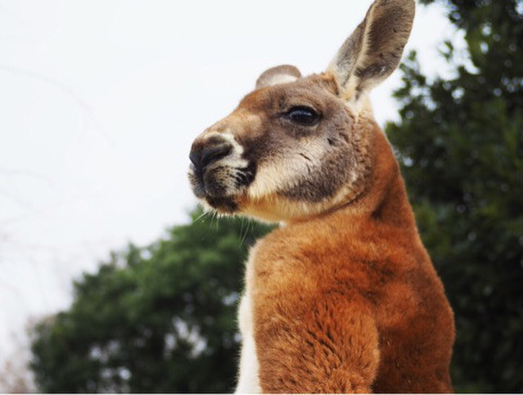 1 5 金 有給休暇 夫婦デート 東武動物公園へ Rancidさんのブログ Cosme アットコスメ